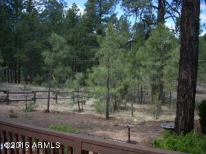 3349 Pine Cone Dr, Overgaard, AZ 85933 photo 4
