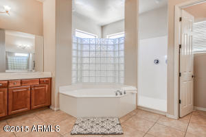 3029 S Colonial St, Gilbert, AZ 85295 photo 33