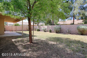 1220 E Douglas Ave, Gilbert, AZ 85234 photo 19