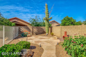 214 E Laredo Ave, Gilbert, AZ 85296 photo 37