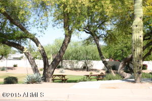 409 E Marigold Ln, Tempe, AZ 85288 photo 18