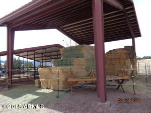 351 E Mail Trail Rd, Young, AZ 85554 photo 32