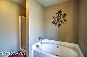 9062 E Pampa Ave, Mesa, AZ 85212 photo 37