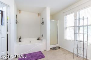 11320 E Renata Cir, Mesa, AZ 85212 photo 17