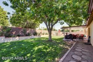335 E Liberty Ln, Gilbert, AZ 85296 photo 47