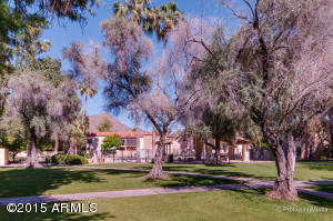 4201 E Camelback Rd #24, Phoenix, AZ 85018 photo 27