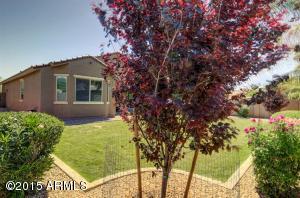 4502 E Blue Sage Rd, Gilbert, AZ 85297 photo 26