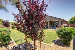 4502 E Blue Sage Rd, Gilbert, AZ 85297 photo 28