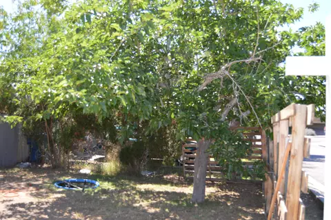 5229 E Taylor St, Phoenix, AZ 85008 photo 3
