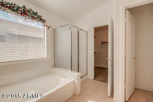 10243 E Jacob Ave, Mesa, AZ 85209 photo 23