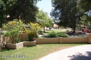 1126 E San Angelo Ave, Gilbert, AZ 85234 photo 7