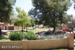 1126 E San Angelo Ave, Gilbert, AZ 85234 photo 6