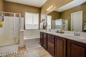 3967 E Marlene Dr, Gilbert, AZ 85296 photo 19