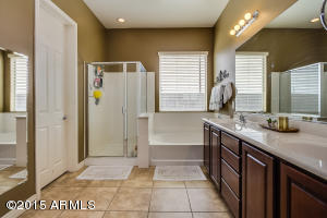 3967 E Marlene Dr, Gilbert, AZ 85296 photo 20