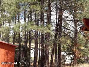 2146 Indian Trl, Overgaard, AZ 85933 photo 17