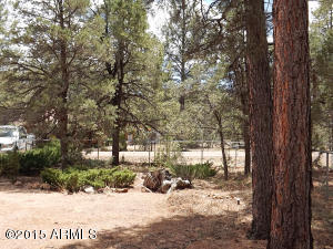2146 Indian Trl, Overgaard, AZ 85933 photo 15