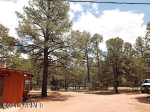2146 Indian Trl, Overgaard, AZ 85933 photo 14