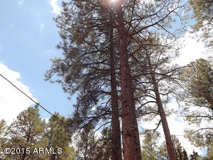 2146 Indian Trl, Overgaard, AZ 85933 photo 16