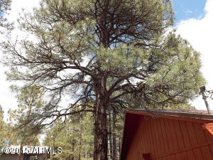 2146 Indian Trl, Overgaard, AZ 85933 photo 13