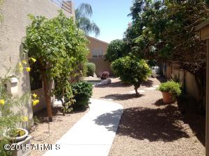 9405 E Hillview Cir, Mesa, AZ 85207 photo 55