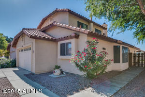 4509 E Grove Ave, Mesa, AZ 85206 photo 3