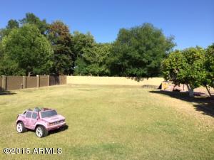 1053 S Maple --, Mesa, AZ 85206 photo 6