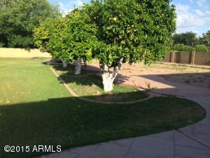 1053 S Maple --, Mesa, AZ 85206 photo 8