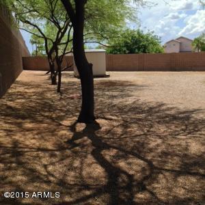 2485 E Orchid Ln, Gilbert, AZ 85296 photo 29