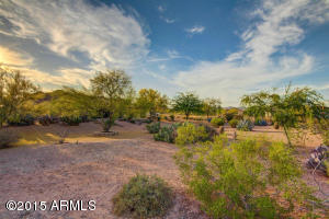 975 N Vista Rd, Apache Junction, AZ 85119 photo 24