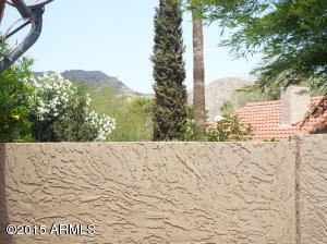 4370 E Sandia St, Phoenix, AZ 85044 photo 33