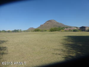 1825 E Redfield Rd, Phoenix, AZ 85022 photo 40