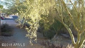 4388 E Olney Dr, Phoenix, AZ 85044 photo 3