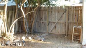 4388 E Olney Dr, Phoenix, AZ 85044 photo 4