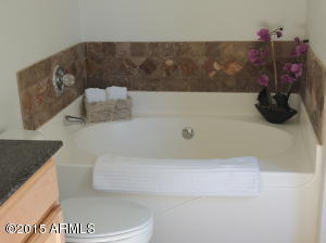 1318 E Beth Dr, Phoenix, AZ 85042 photo 18