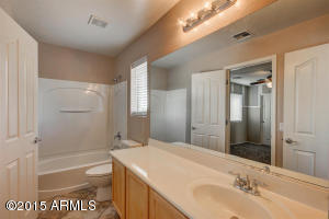 3721 E Andre Ave, Gilbert, AZ 85298 photo 21
