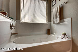 3159 E Vallejo Dr, Gilbert, AZ 85298 photo 31