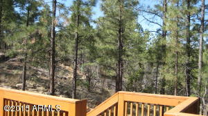 3338 Sawmill Ridge Loop, Heber, AZ 85928 photo 22
