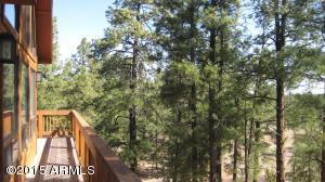 3338 Sawmill Ridge Loop, Heber, AZ 85928 photo 29