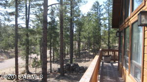 3338 Sawmill Ridge Loop, Heber, AZ 85928 photo 28