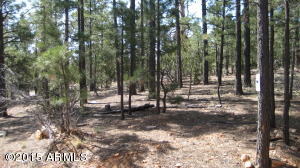 3338 Sawmill Ridge Loop, Heber, AZ 85928 photo 25