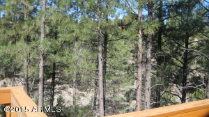 3338 Sawmill Ridge Loop, Heber, AZ 85928 photo 23
