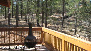 3338 Sawmill Ridge Loop, Heber, AZ 85928 photo 24