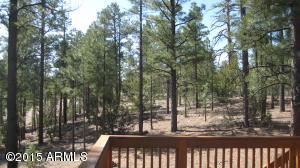3338 Sawmill Ridge Loop, Heber, AZ 85928 photo 27