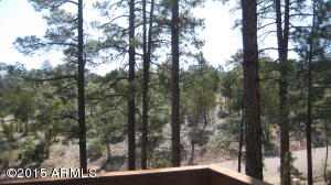 3338 Sawmill Ridge Loop, Heber, AZ 85928 photo 31
