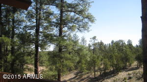 3338 Sawmill Ridge Loop, Heber, AZ 85928 photo 30