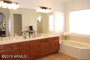 4637 E Desperado Rd, Gilbert, AZ 85297 photo 47