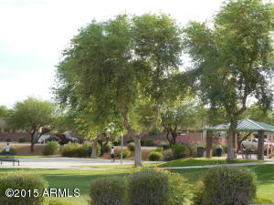 3362 E Clifton Ave, Gilbert, AZ 85295 photo 23