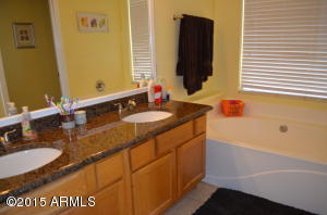 239 N Tiago Dr, Gilbert, AZ 85233 photo 17
