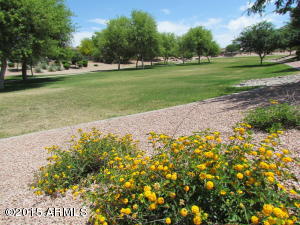 1885 E Andalusian Loop, San Tan Valley, AZ 85140 photo 16