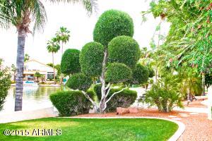 1838 E Cascade Dr, Gilbert, AZ 85234 photo 17
